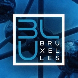 BLU Bruxells Logo