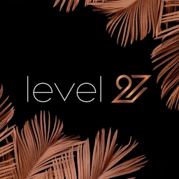 Level 27 Logo