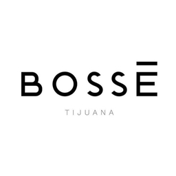 BOSSE Logo