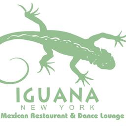 Iguana New York Logo