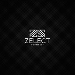 Zelect Roomfest Logo