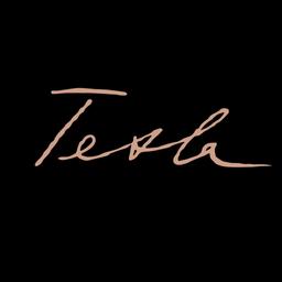 TESLA New Generation Logo