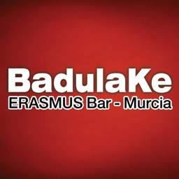 BadulaKe Erasmus Logo