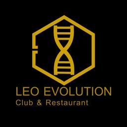 LEO Evolution Logo