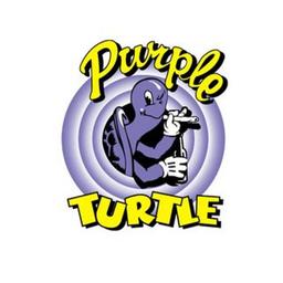 Purple Turtle Logo