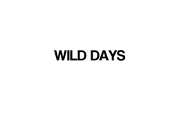 Wild Days Logo