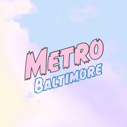 The Metro Gallery Logo