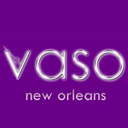 Vaso LLC Logo