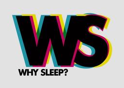Why Sleep Logo