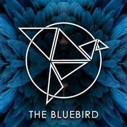 The BlueBird Reno Logo