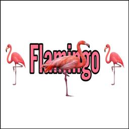 Flamingo Cantina Logo