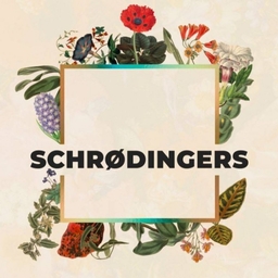 Schrødingers Hamburg Logo
