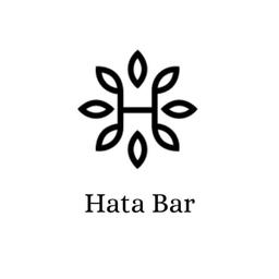 Design Hata Logo