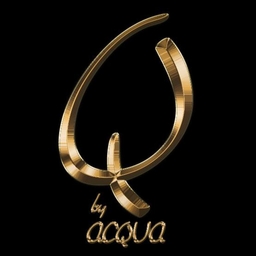Q Dortmund Logo