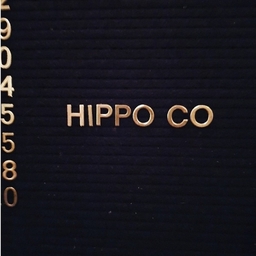 Hippo Co Logo