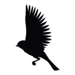 Blackbird bar Logo