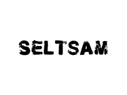 Seltsam Logo