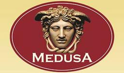 MEDUSA Logo