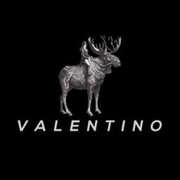 VALENTINO Logo