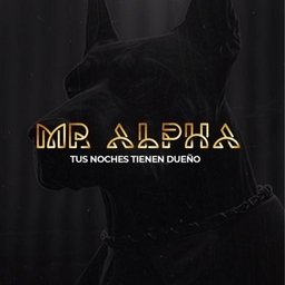 Mr. Alpha Logo